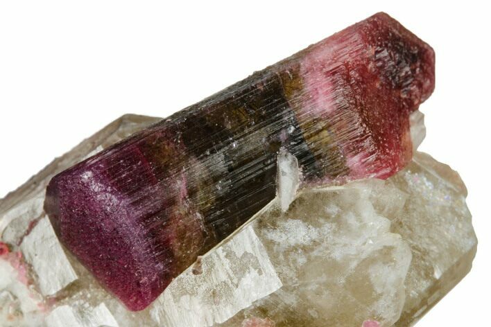 Double-Terminated Elbaite Tourmaline in Quartz - Siberia #175649